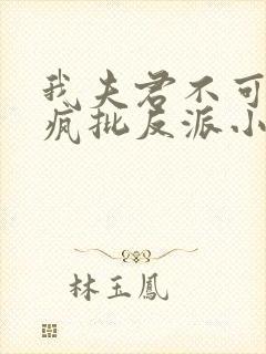 我夫君不可能是疯批反派小说免费阅读