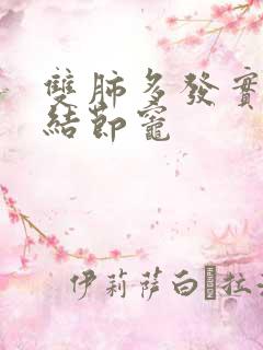 双肺多发实性微结节灶