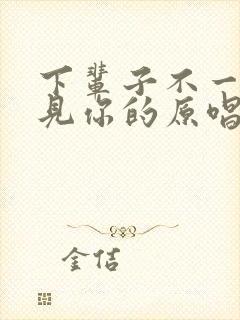 下辈子不一定遇见你的原唱