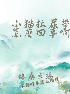 小猫拉尿带血是怎么回事啊