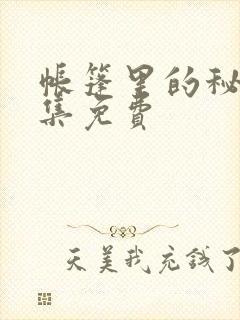 帐篷里的秘密全集免费