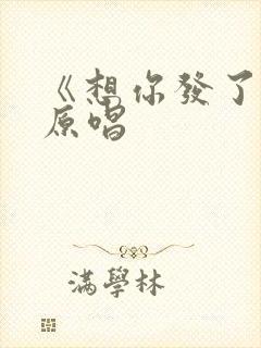 《想你发了疯》原唱