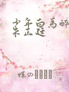 少年白马醉春风朱正廷