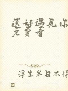 还好遇见你短剧免费看