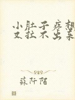 小肚子疼想大便又拉不出来怎么回事