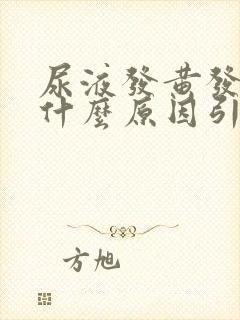 尿液发黄发浑是什么原因引起的