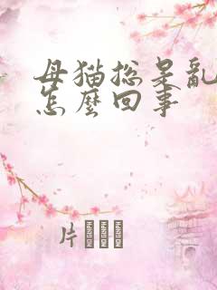 母猫总是乱尿是怎么回事