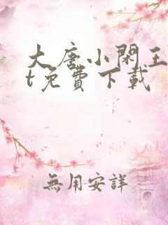 大唐小闲王txt免费下载