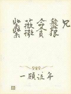 紫薇命盘兄弟宫紫微贪狼