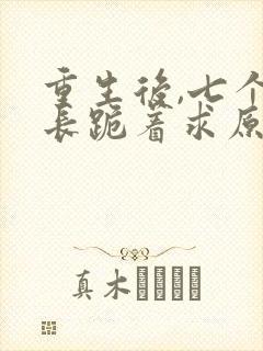 重生后,七个兄长跪着求原谅小说小说