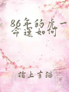 86年的虎一生命运如何