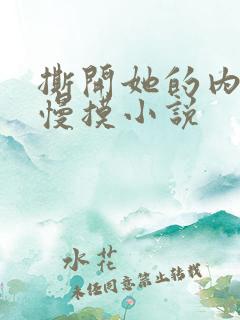 撕开她的内裤慢慢摸小说