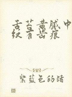 舌苔黄腻中间裂纹有齿痕