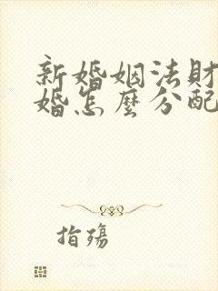 新婚姻法财产离婚怎么分配