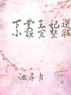 下堂王妃逆袭记小说完整版txt