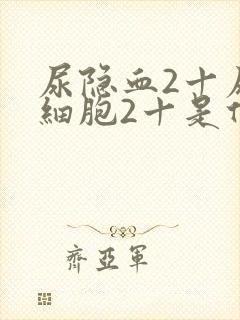 尿隐血2十尿白细胞2十是什么意思