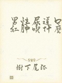 男性尿道口有点红肿吃什么药