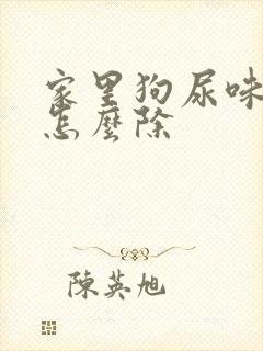 家里狗尿味好重怎么除