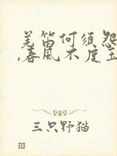 羌笛何须怨杨柳,春风不度玉门关表达的情感