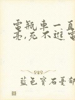 电瓶车一直绿灯亮,充不进电