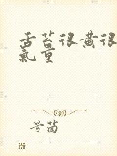 舌苔很黄很厚湿气重