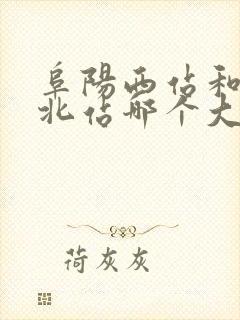 阜阳西站和黄山北站哪个大