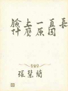 脸上一直长痤疮什么原因