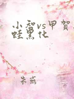 小智vs甲贺忍蛙黑化