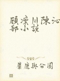 顾凛川陈沁是哪部小说