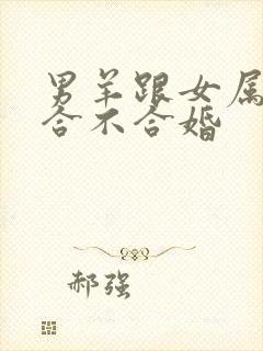 男羊跟女属鼠的合不合婚