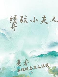 续弦小夫人江摇舟