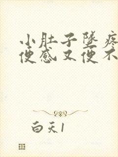 小肚子坠疼有大便感又便不出来