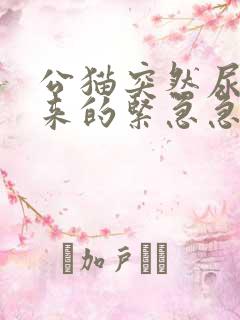 公猫突然尿不出来的紧急急救法