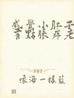 感觉小肚子下坠有点胀疼老感觉有尿