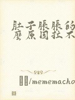 肚子胀胀的是什么原因拉不出屎