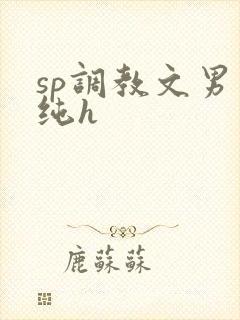 sp调教文男男纯h