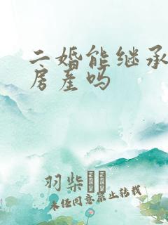 二婚能继承丈夫房产吗