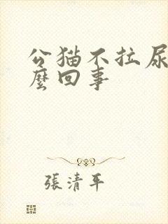 公猫不拉尿是怎么回事