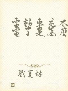 电动车充不进去电了是怎么回事