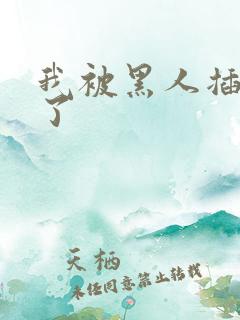 我被黑人插进去了