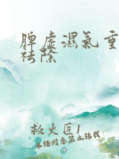 脾虚湿气重怎样祛除