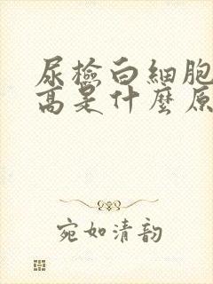 尿检白细胞计数高是什么原因