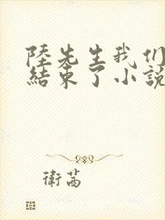 陆先生我们终于结束了小说免费阅读