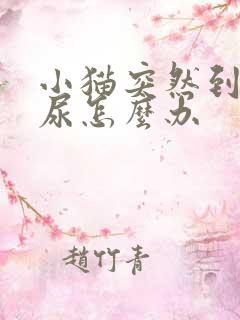 小猫突然到处乱尿怎么办