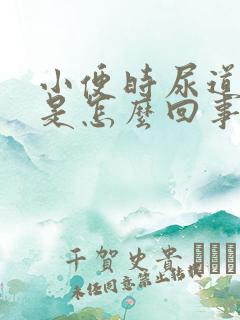 小便时尿道刺痛是怎么回事还流脓