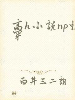高h小说np快穿