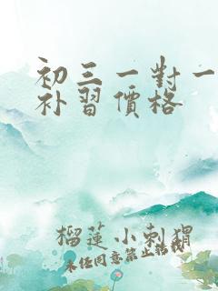 初三一对一数学补习价格