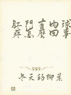 肛门有肉球拉屎疼怎么回事