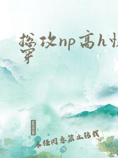 总攻np高h快穿