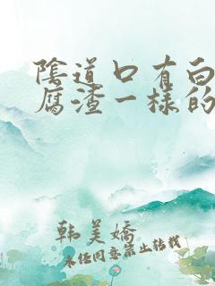 阴道口有白色豆腐渣一样的东西